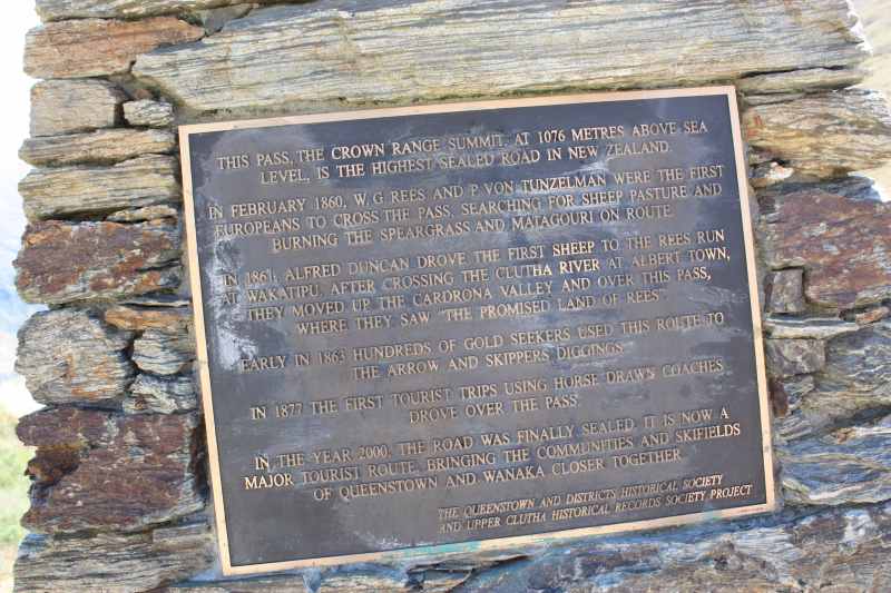 Nieuw-Zeeland 2011 - 1623